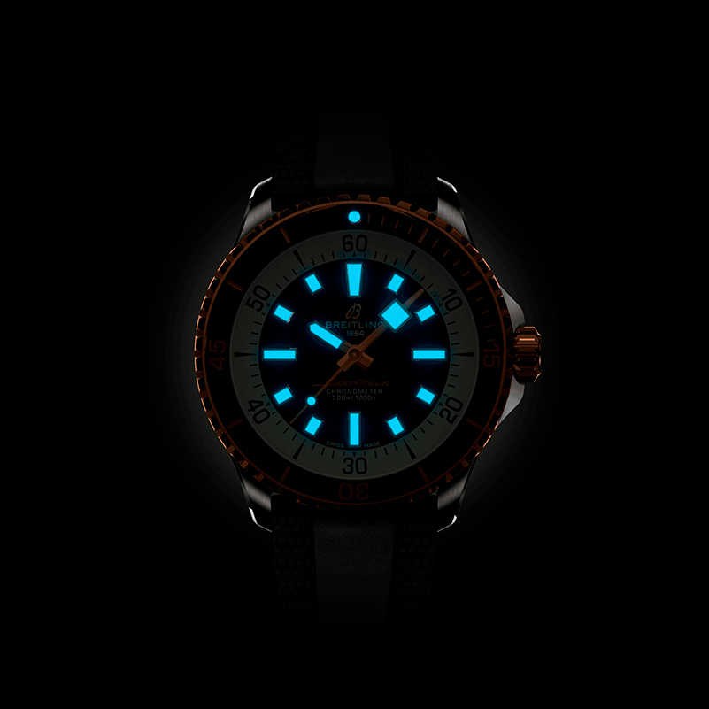 N17375201L1S1_5