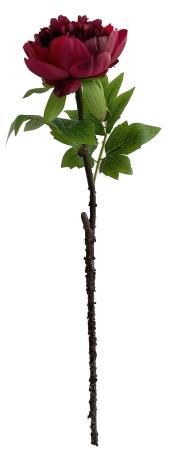 НоменклатураПрисоединенныеФайлы