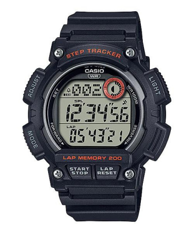 ws2100h1a