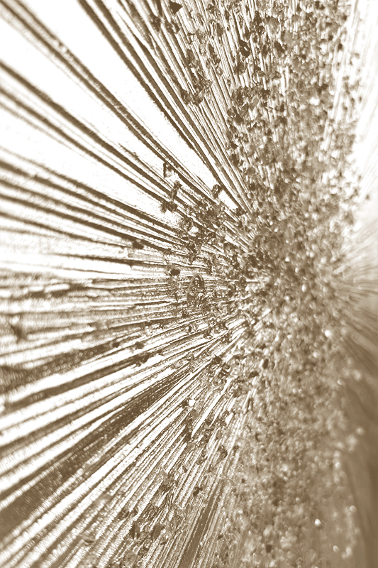 19350_image_file