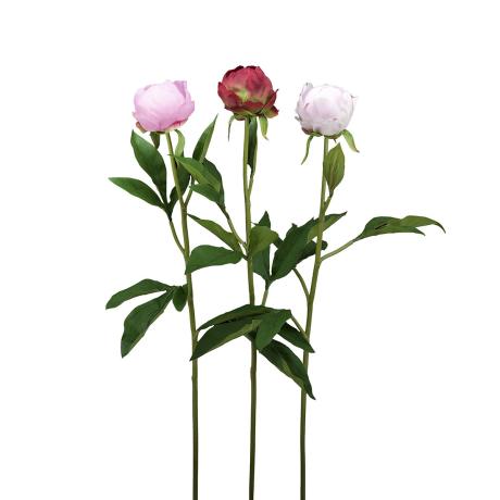 7a8aaa95_5b8a_11e9_80d5_ec8cbafbcf97_1e7d621b_59f5_4184_8023_059ebd3d75eb