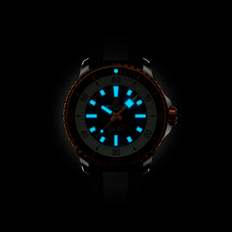 N17375201L1S1_5