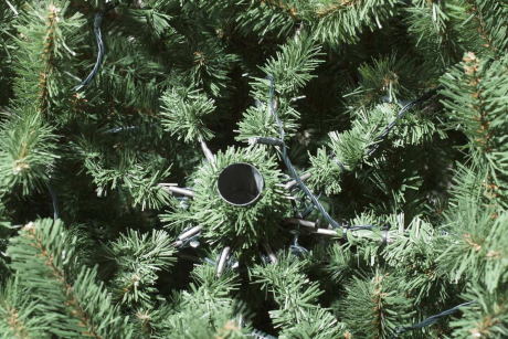 pvsxp4rr0vjzi7fk1niic9kvmnxicf5p