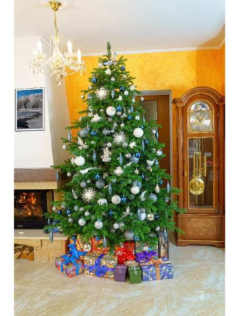 lxja0vvedc95kvn3u251zncjy7itzepq