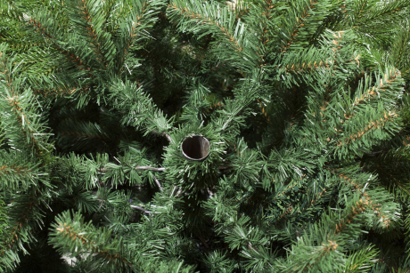 srfrguzb6q2u0jsu54s3racyngztiy1e