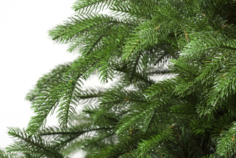 id460mv82u7a2m6rsaffpi9ch0fjj5je