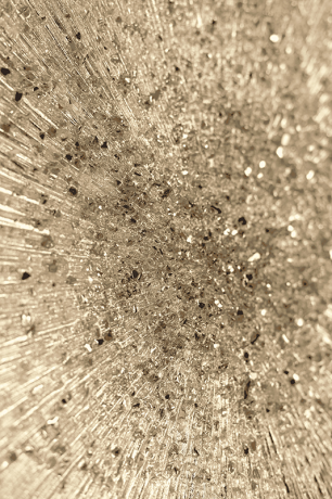 18323_image_file