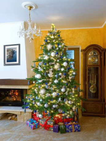 iuexytzb2u0u0z8r76obcj9xjxll69rt