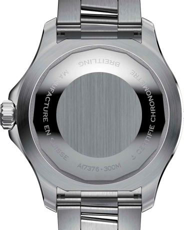 A17376A31L1A1__4