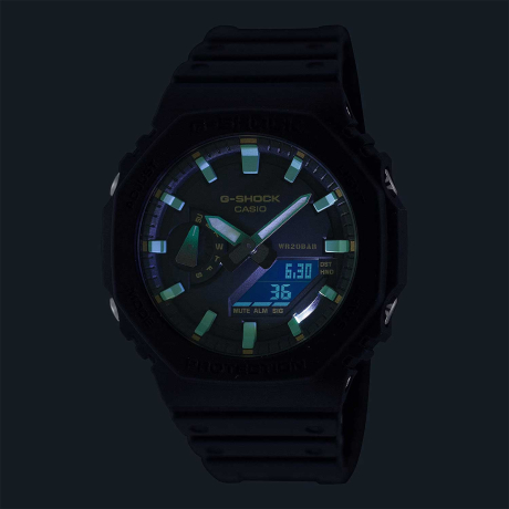 GA-2100RC-1A__2