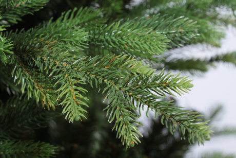 1f259780c408d5d76d7b9dbf98fcdc95